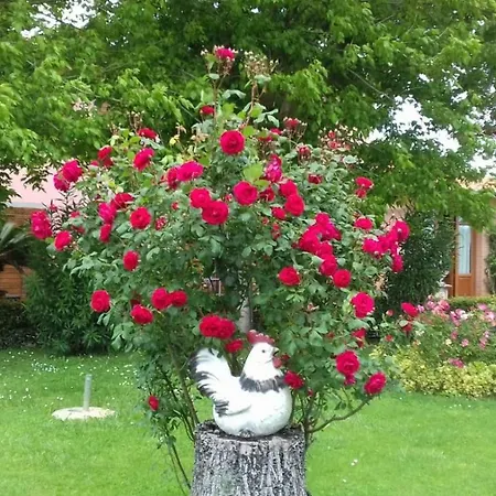 Rustico La Pioppeta كاشينا