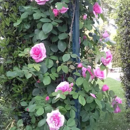 Rustico La Pioppeta Cascina (Pisa)